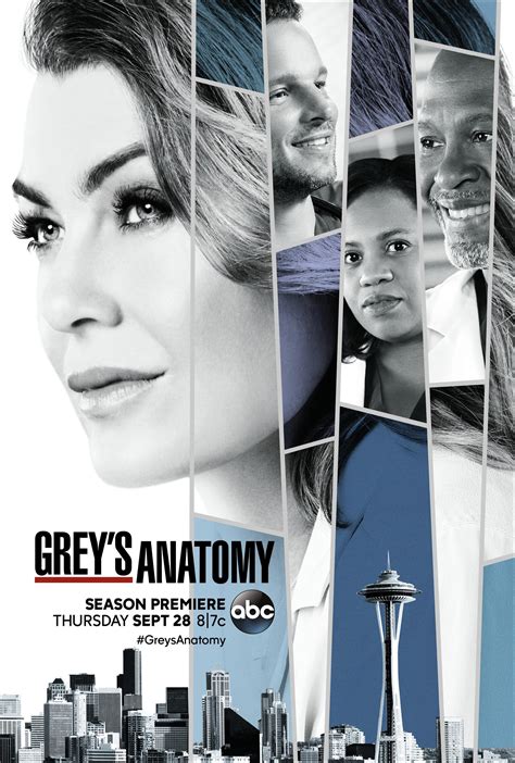 grey's anatomy season 14 fullrip|Grey's Anatomy Full Episodes .